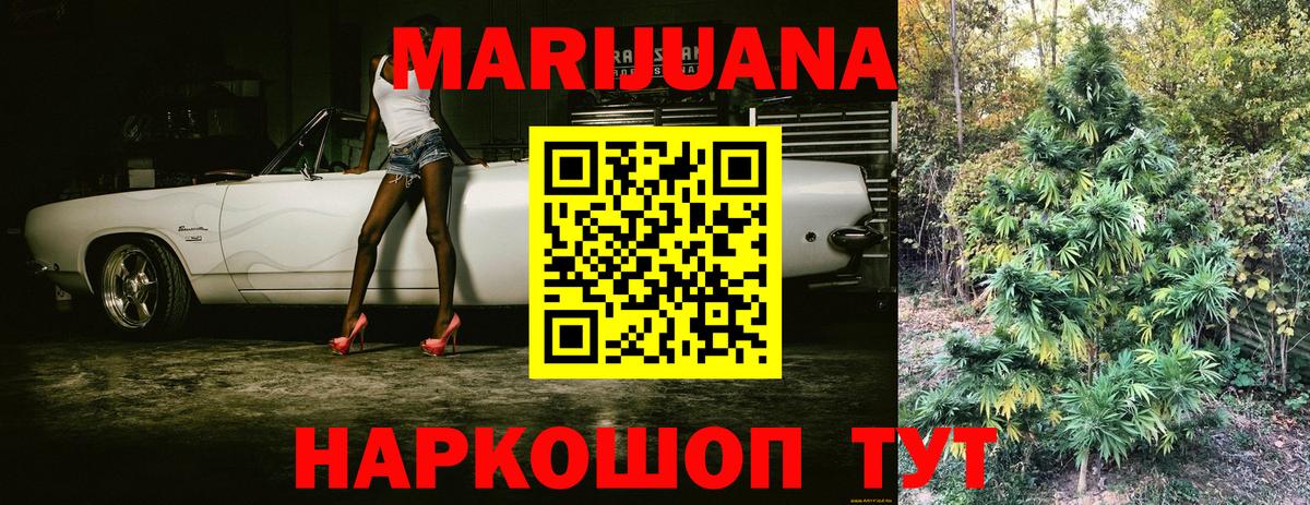 Конопля гибрид  Конопля план  Каннабис Bruce Banner  Вход с VPN  Шелехов  Бошки марихуана сатива 
